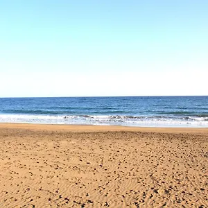 https://villa-sol-beach.puertodelcarmen-hotels.org